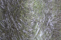 Copster Green fibreglass roof work