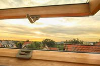 rated Copster Green roof window companies